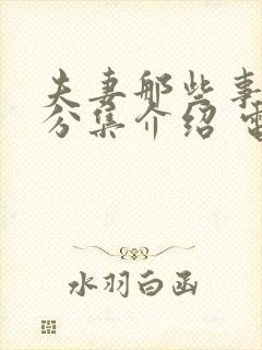 夫妻那些事剧情分集介绍 电视剧