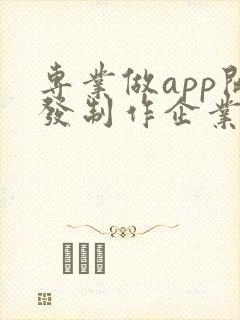 专业做app开发制作企业