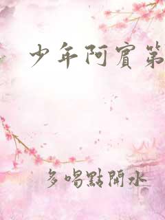 少年阿宾第一部