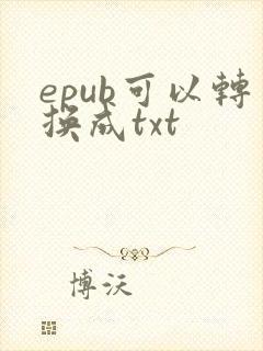 epub可以转换成txt