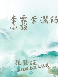 李霖李澜的官场小说