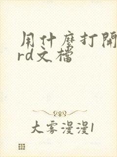 用什么打开word文档