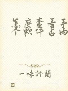 怎么查看手机哪个软件占内存