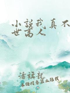 小说我真不是盖世高人