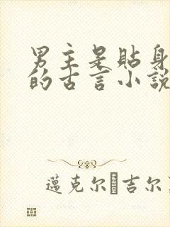 男主是贴身侍卫的古言小说