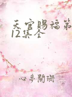 天官赐福第一季12集全
