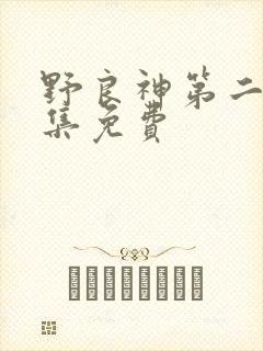 野良神第二季全集免费