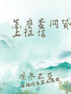 怎么查网贷上不上征信