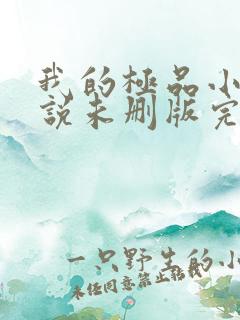 我的极品小姨小说未删版完整