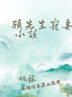 顾先生宠妻有度 小说