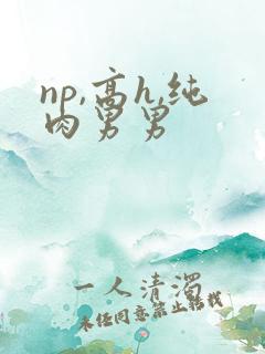 np,高h,纯肉男男