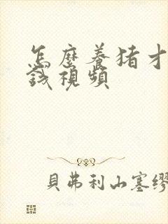 怎么养猪才能赚钱视频