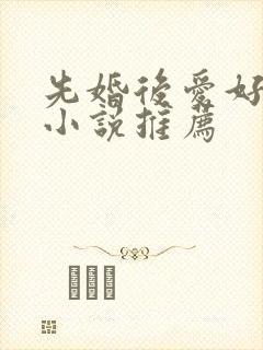 先婚后爱好看的小说推荐