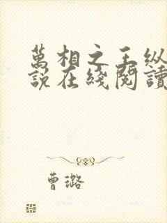 万相之王纵横小说在线阅读