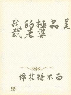 我的极品美女总裁老婆