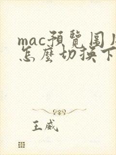 mac预览图片怎么切换下一张