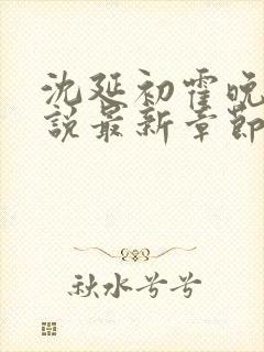 沈延初霍晚棠小说最新章节