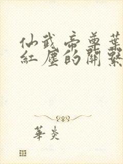 仙武帝尊叶辰与红尘的关系