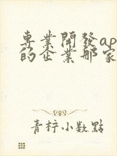 专业开发app的企业那家好