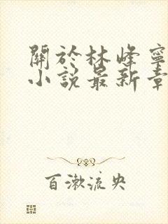 关于林峰宁欣的小说最新章节