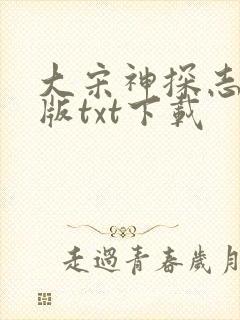 大宋神探志精校版txt下载