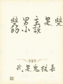 双男主是双胞胎的小说