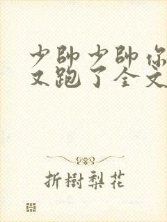 少帅少帅你老婆又跑了全文免费