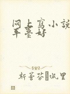 网上写小说哪个平台好