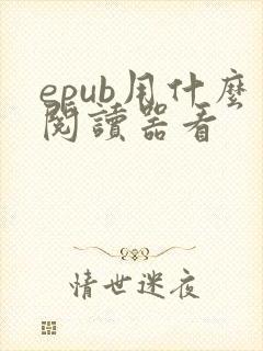 epub用什么阅读器看