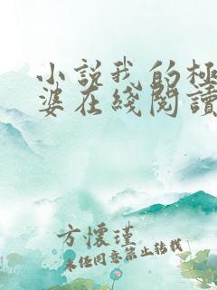 小说我的极品老婆在线阅读全文