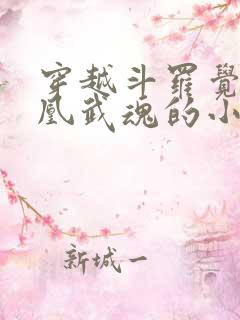 穿越斗罗觉醒凤凰武魂的小说