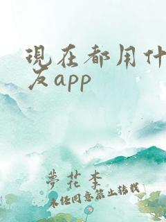 现在都用什么交友app