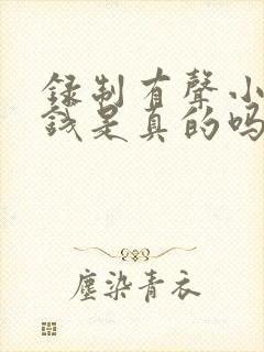 录制有声小说赚钱是真的吗