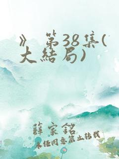 》 第38集(大结局)