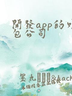 开发app的外包公司