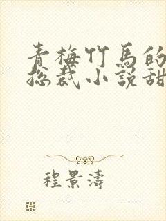 青梅竹马的霸道总裁小说甜宠文