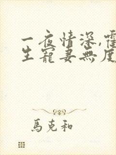 一夜情深,霍先生宠妻无度