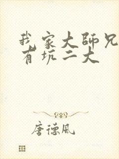 我家大师兄脑子有坑二大