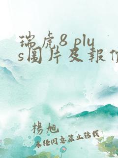 瑞虎8 plus图片及报价表