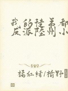 我的徒弟都是大反派陆州小说完本免费阅读