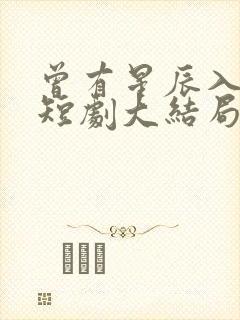 曾有星辰入我梦短剧大结局