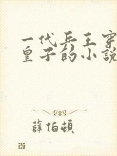 一代兵王穿越九皇子的小说