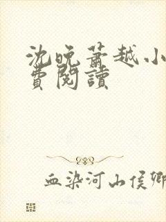 沈晚萧越小说免费阅读