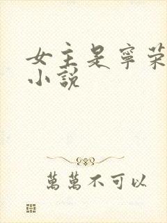 女主是宁荣荣的小说