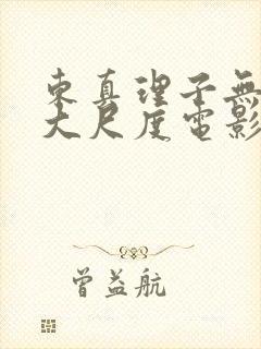 东真理子无删减大尺度电影