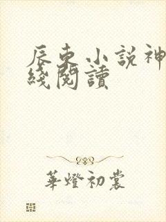 辰东小说神墓在线阅读