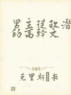 男主从政潜下属的高干文