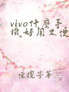 vivo什么手机好用又便宜