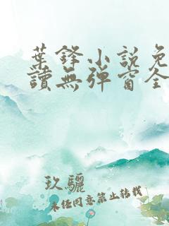 叶锋小说免费阅读无弹窗全文