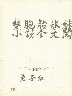 双胞胎姐妹换夫小说全文阅读